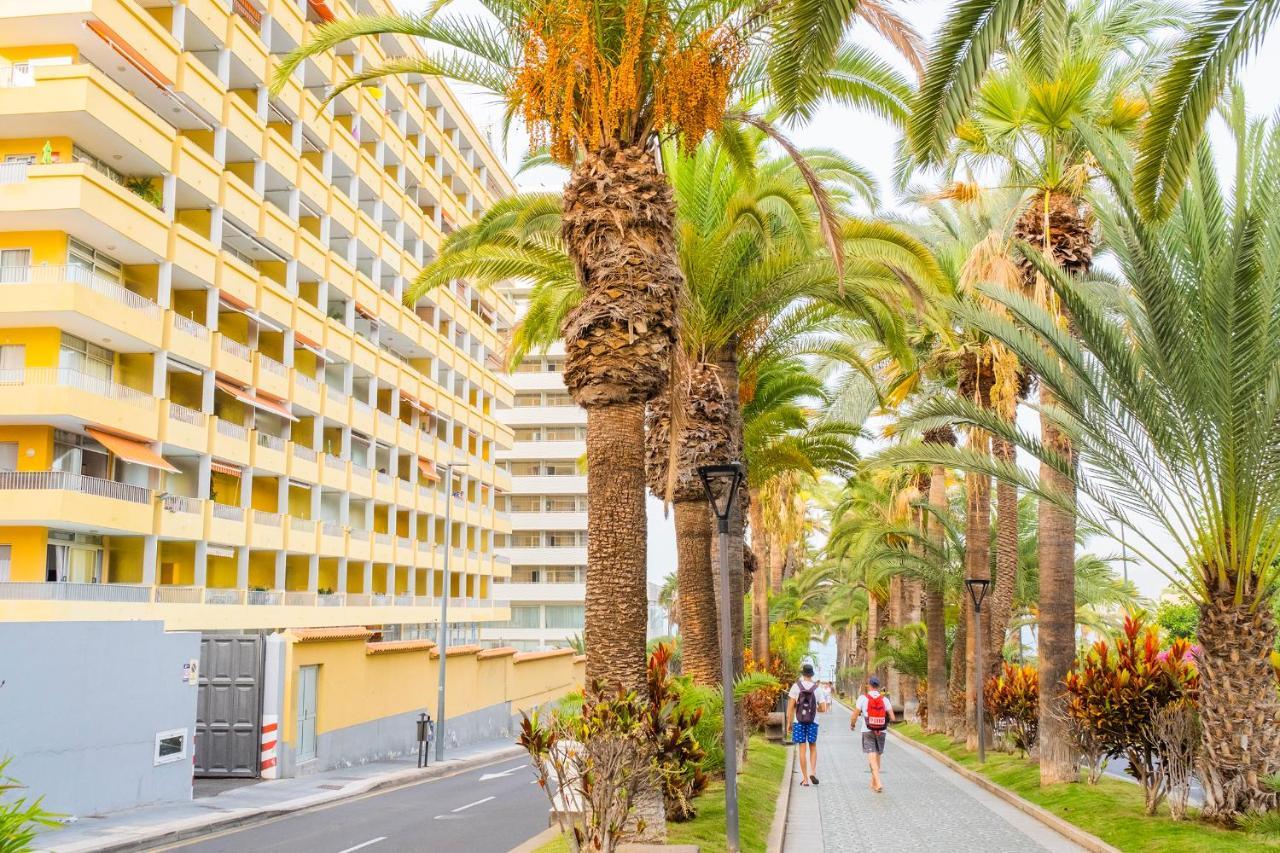Live Puerto De La Cruz Las Palmeras Exterior photo
